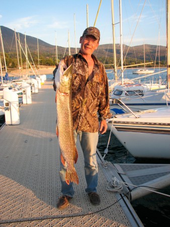 brochet au streamer s'il vous plait